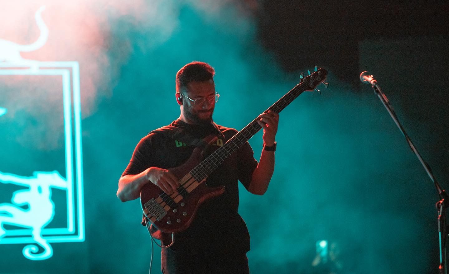 Bass Guitarist performing