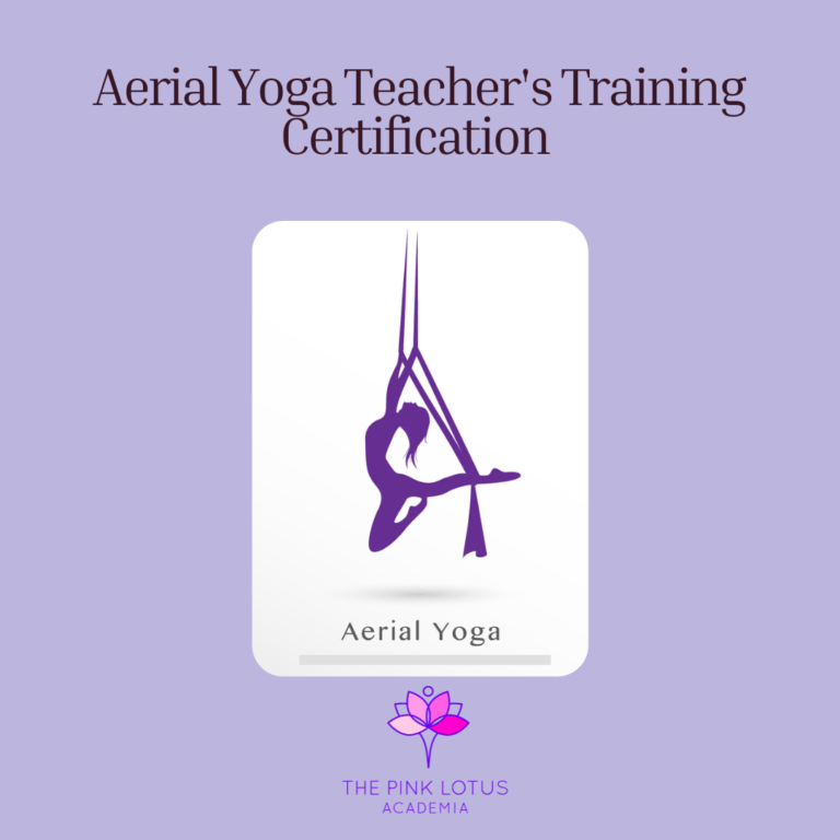 Aerial Yoga Teacher's Training Poster